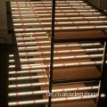 Hochwertige 600W 6 -Bbar -Faltungs -LED wachsen Licht